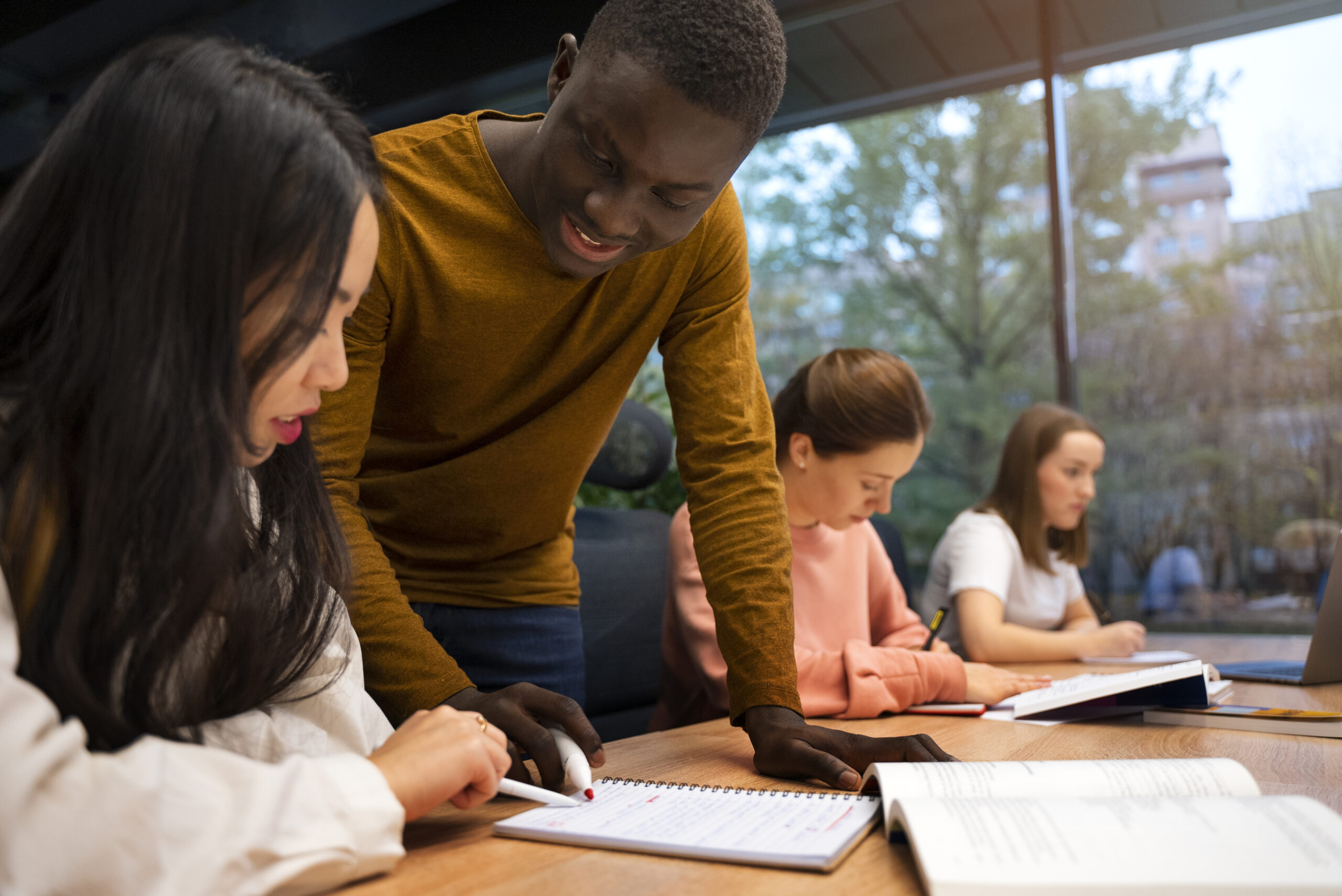 Cursos Gratuitos Profissionalizantes com Suporte Especializado (AEE)
