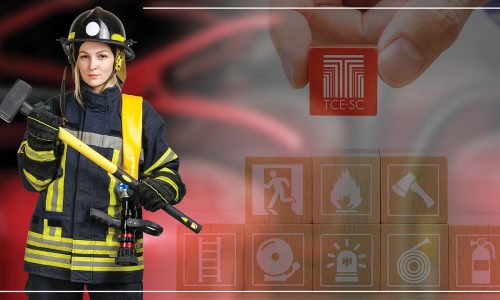 A segurança brigadista é um conceito essencial em qualquer ambiente de trabalho, especialmente em indústrias, comércios e instituições que lidam com materiais perigosos ou operam em áreas de risco. Brigadistas são profissionais treinados para atuar em situações de emergência, com o objetivo de proteger vidas e minimizar danos materiais, até que equipes especializadas, como os bombeiros, cheguem ao local. Neste post, vamos entender o papel crucial dos brigadistas e como a segurança brigadista contribui para ambientes mais seguros.